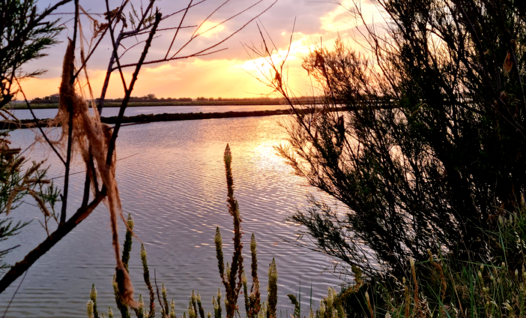 Tramonto sulle Saline di Cervia